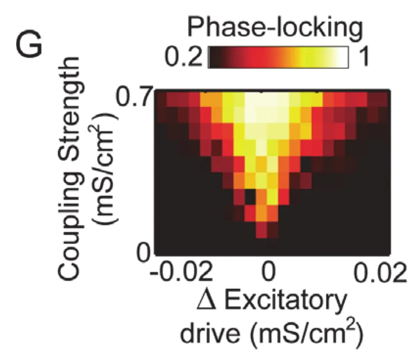 Lowet et al. Figure 2G: a triangular region of high phase-locking value across excitatory-drive difference and coupling strength, with original color scale and conductance-density axes.