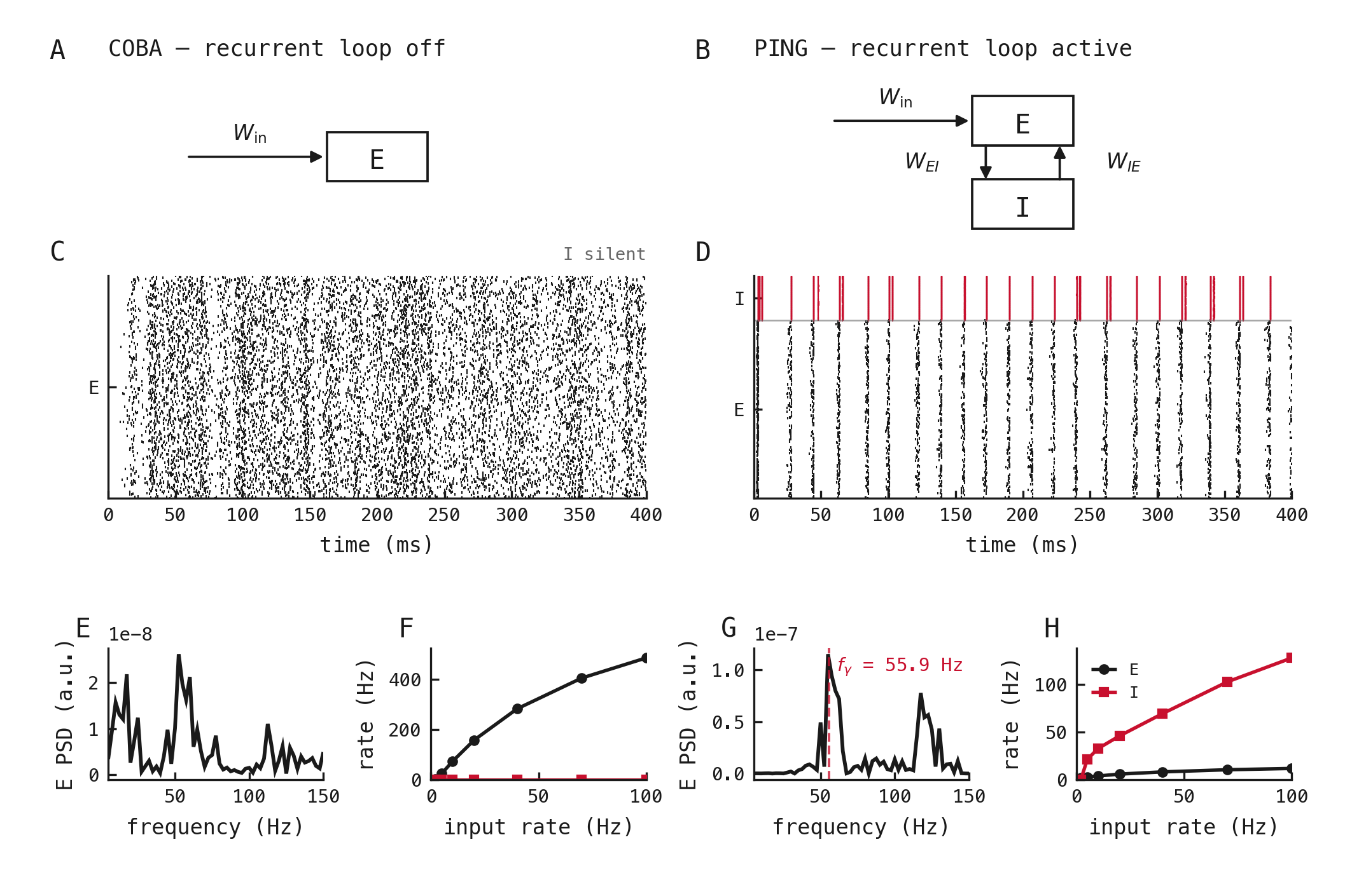 Loop-off and loop-on networks shown through wiring diagrams, illustrative spike rasters collected under different Poisson drives, power spectra and matched firing-rate–input sweeps.