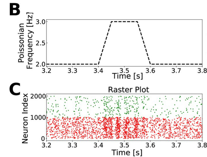 Published PING column from Susin and Destexhe Figure 4, showing panels B and C: external Poisson drive and the spike raster.